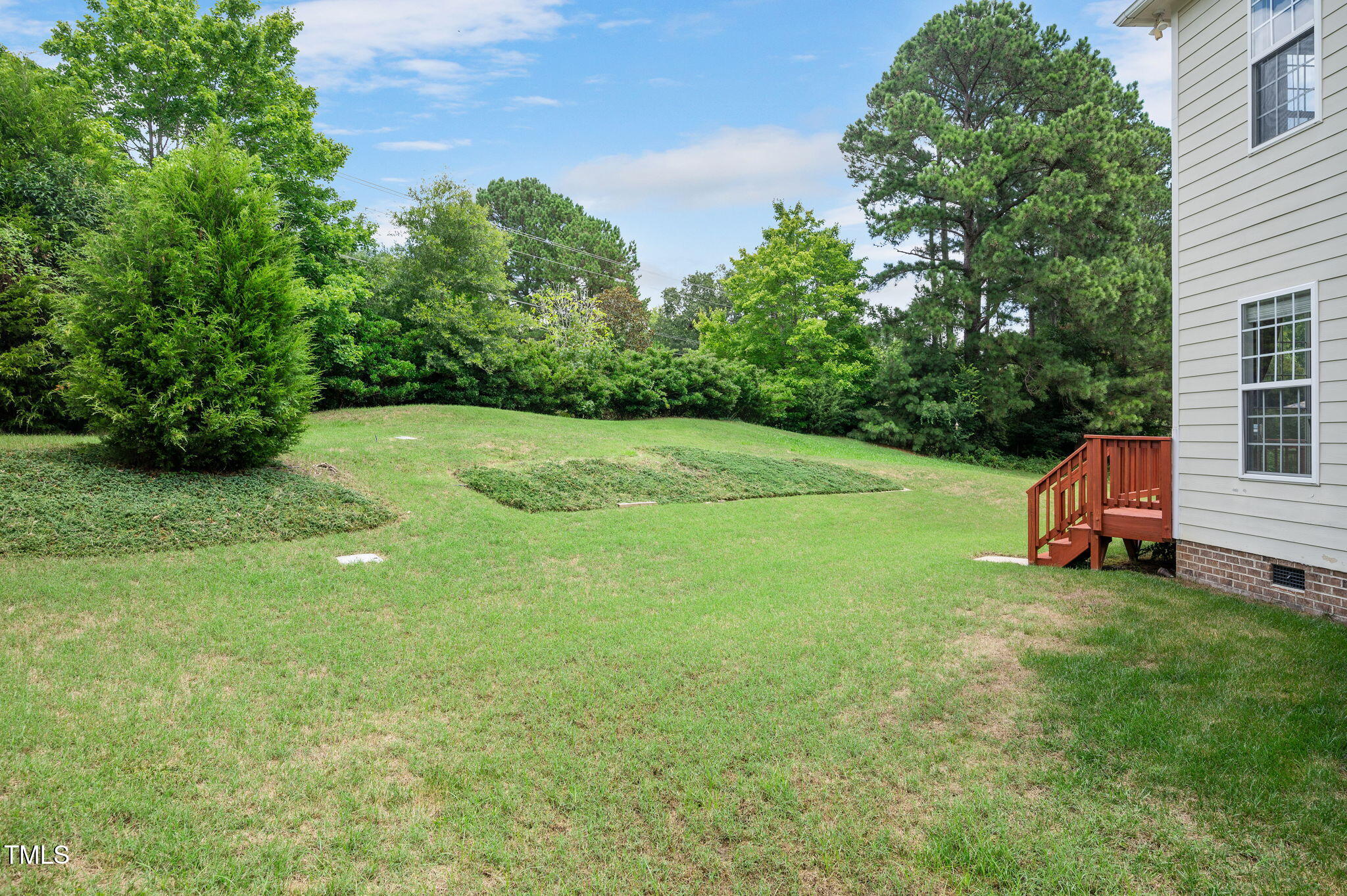1106 Bellenden Drive Durham, NC 27713 - Photo 34 of 40 a view of a backyard with plants and trees