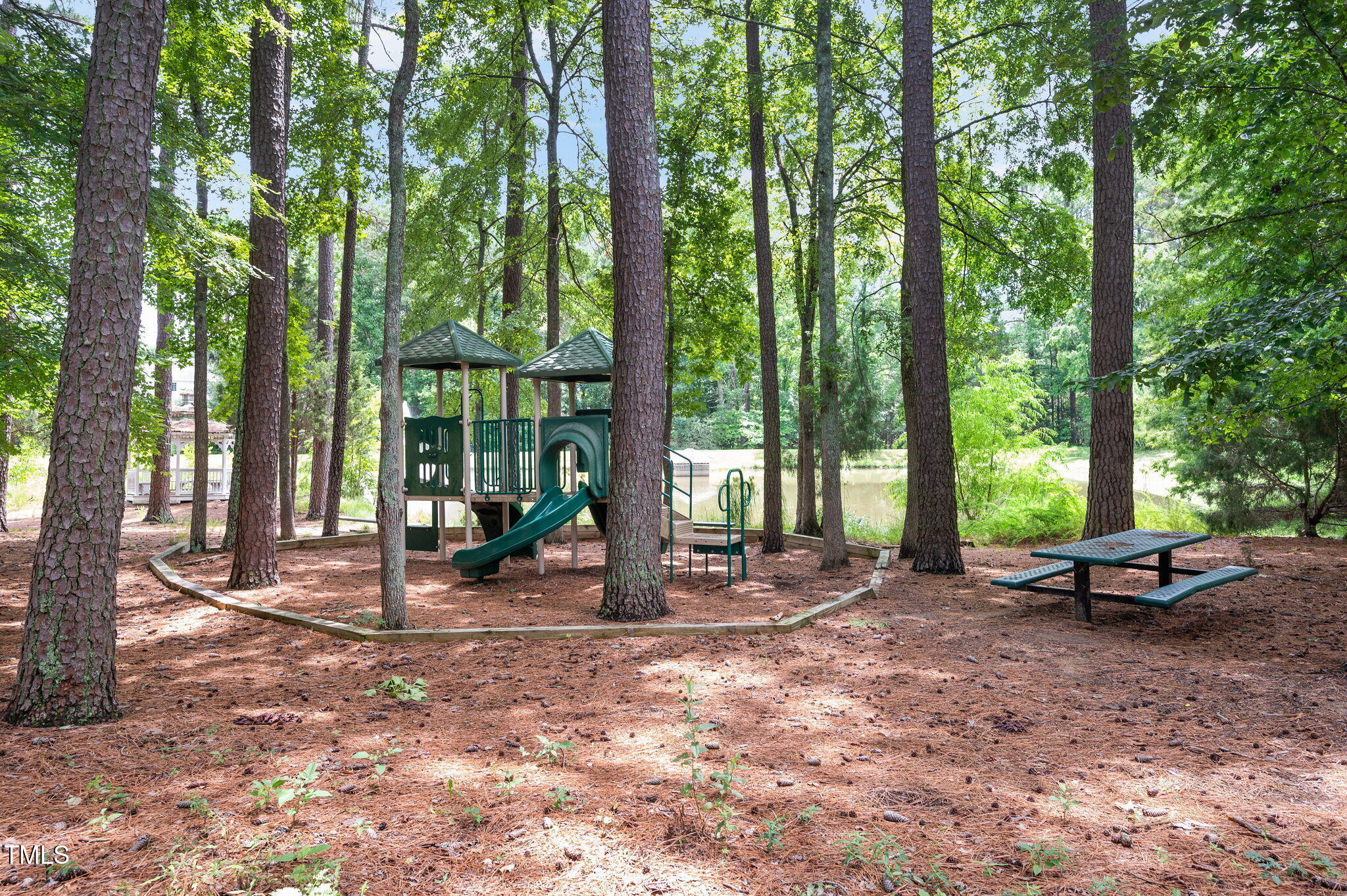 1106 Bellenden Drive Durham, NC 27713 - Photo 36 of 40 a view of a house with backyard from a patio