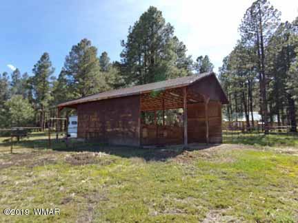 0 Off County Road Alpine, AZ 85920 - Photo 12 of 20