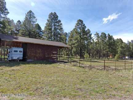 0 Off County Road Alpine, AZ 85920 - Photo 13 of 20