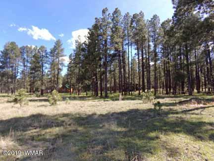 0 Off County Road Alpine, AZ 85920 - Photo 14 of 20