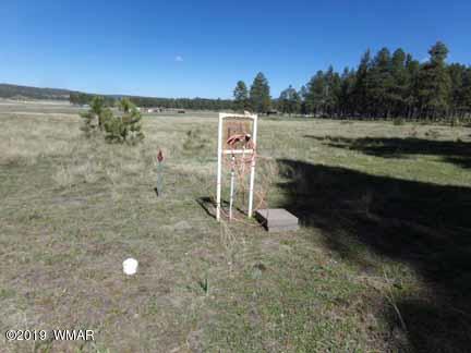 0 Off County Road Alpine, AZ 85920 - Photo 17 of 20