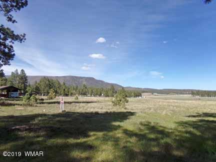 0 Off County Road Alpine, AZ 85920 - Photo 19 of 20