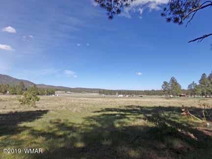 0 Off County Road Alpine, AZ 85920 - Photo 20 of 20