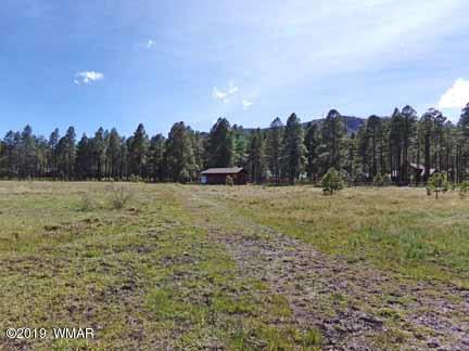 0 Off County Road Alpine, AZ 85920 - Photo 2 of 20