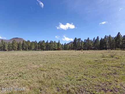 0 Off County Road Alpine, AZ 85920 - Photo 3 of 20