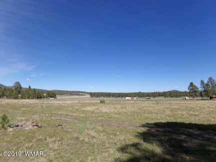 0 Off County Road Alpine, AZ 85920 - Photo 4 of 20