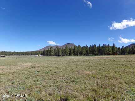 0 Off County Road Alpine, AZ 85920 - Photo 5 of 20