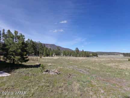 0 Off County Road Alpine, AZ 85920 - Photo 6 of 20