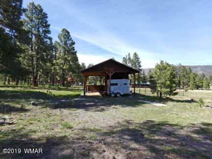 0 Off County Road Alpine, AZ 85920 - Photo 7 of 20