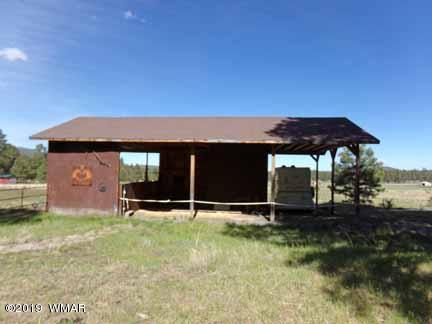 0 Off County Road Alpine, AZ 85920 - Photo 8 of 20