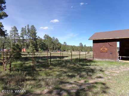 0 Off County Road Alpine, AZ 85920 - Photo 9 of 20