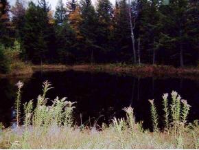 621 Deer Park Road Halifax, VT 05358 - Photo 2 of 7