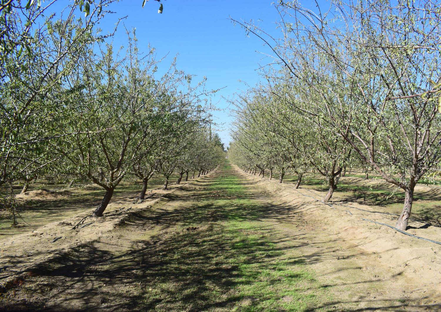 4610 Oakdale Road Winton, CA 95388 - Photo 3 of 9