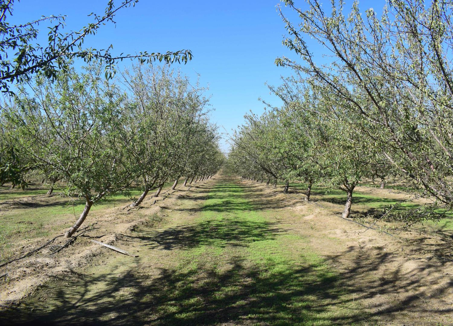 4610 Oakdale Road Winton, CA 95388 - Photo 4 of 9