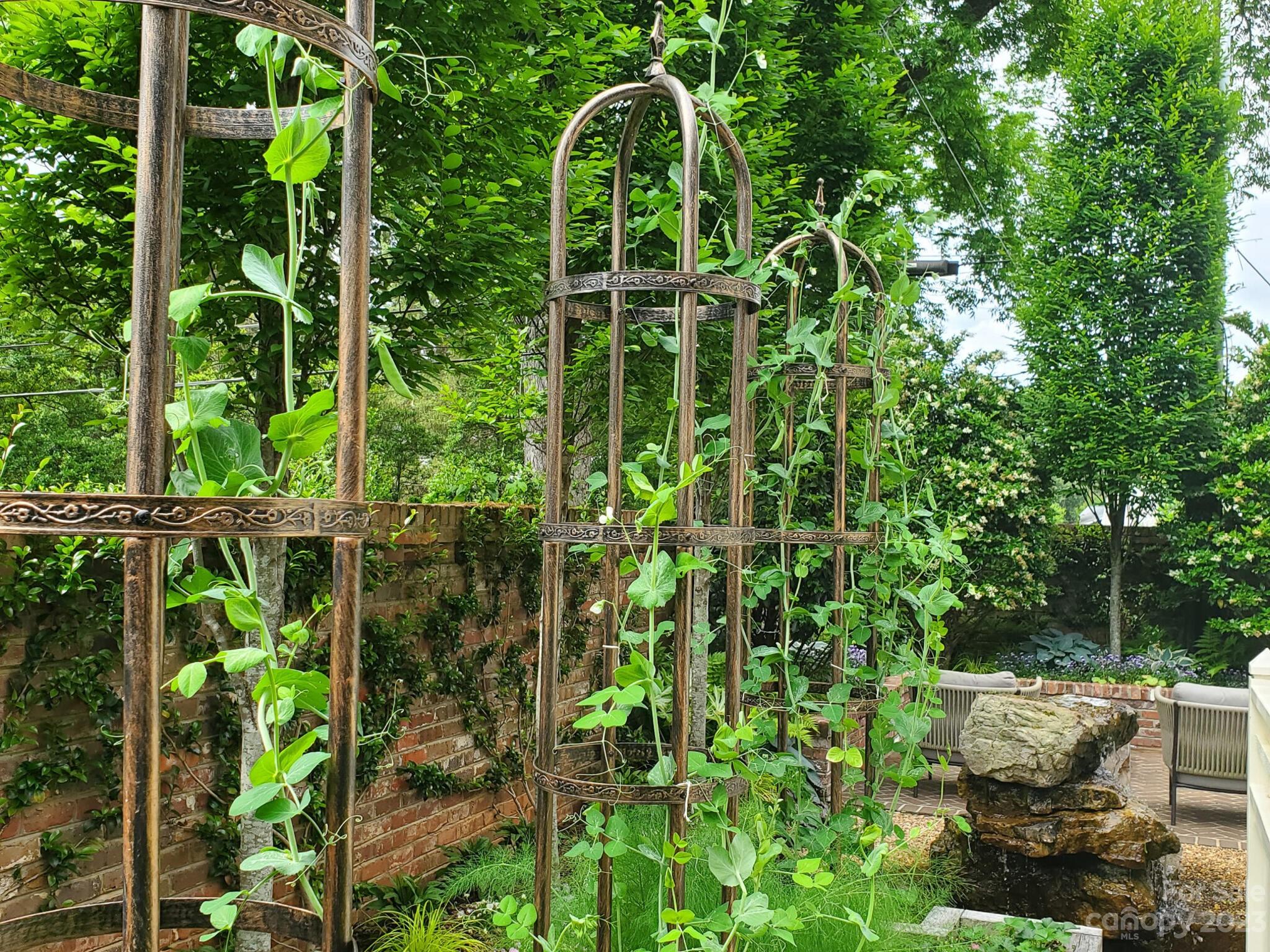 1200 Queens Road Charlotte, NC 28207 - Photo 38 of 42 a view of a garden with plants