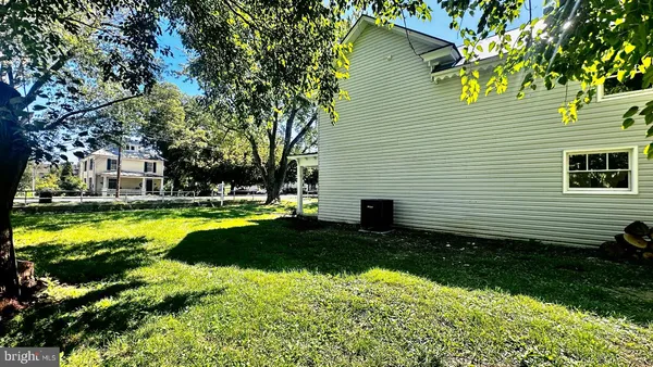 a view of a tree with a yard
