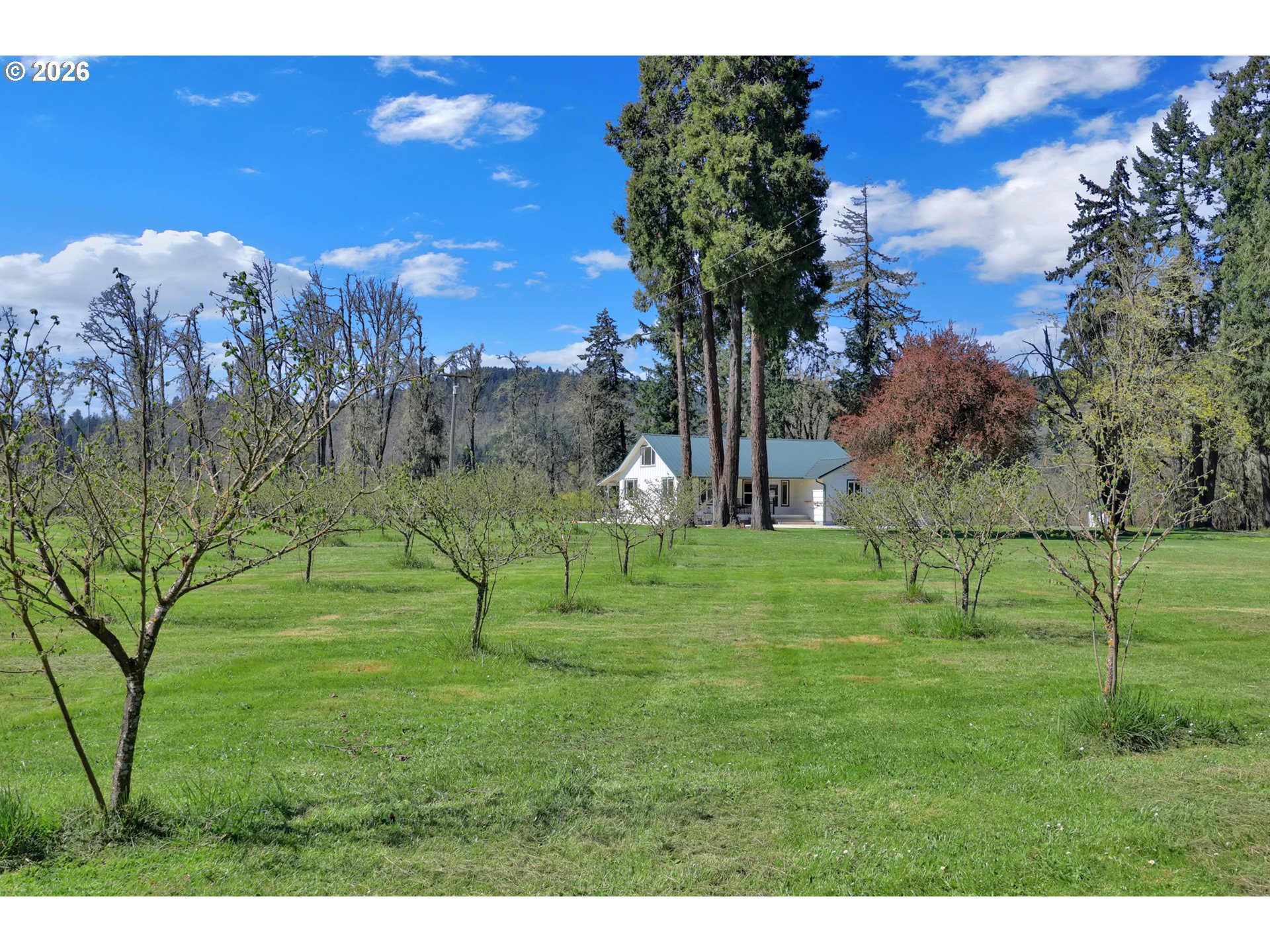 84816 Cloverdale Road Creswell, OR 97426 - Photo 37 of 48 a view of grassy field with trees