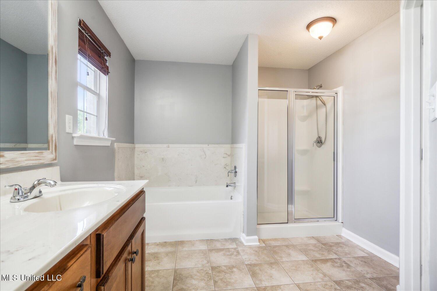 395 East Oak Grove Road Hernando, MS 38632 - Photo 16 of 24 Primary Bathroom b