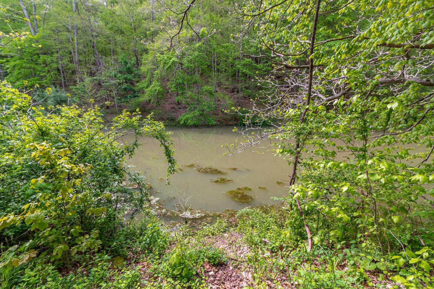 2432 Johnson Run Road Stout, OH 45684 - Photo 26 of 57 Gallery Image 26