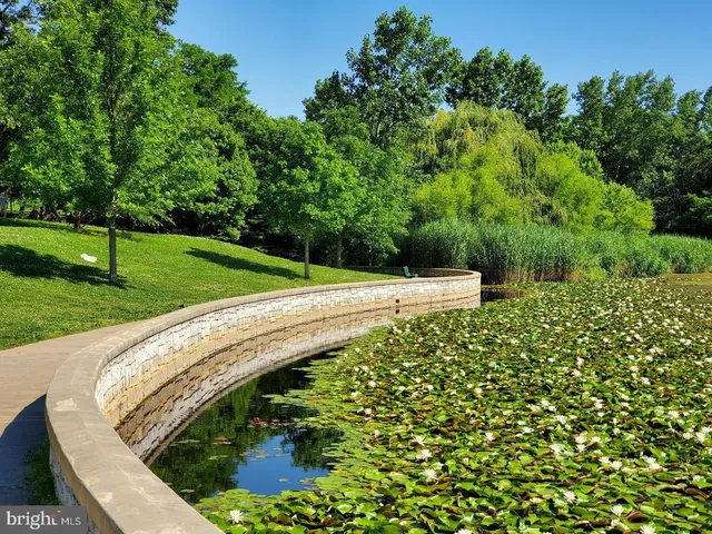 a view of a garden from a bench