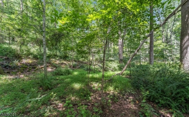 0 Sweet Hollow Road Milford, NJ 08848 - Photo 8 of 14