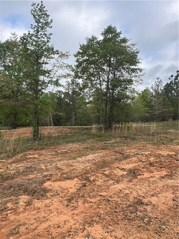 230 Hughart Road Bentley, LA 71407 - Photo 2 of 3