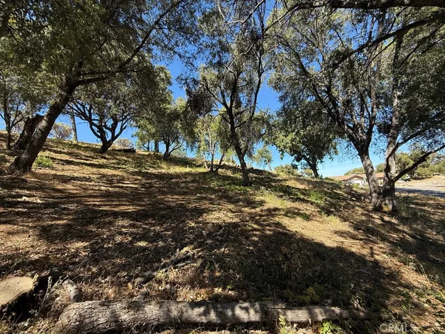 a view of outdoor space with trees