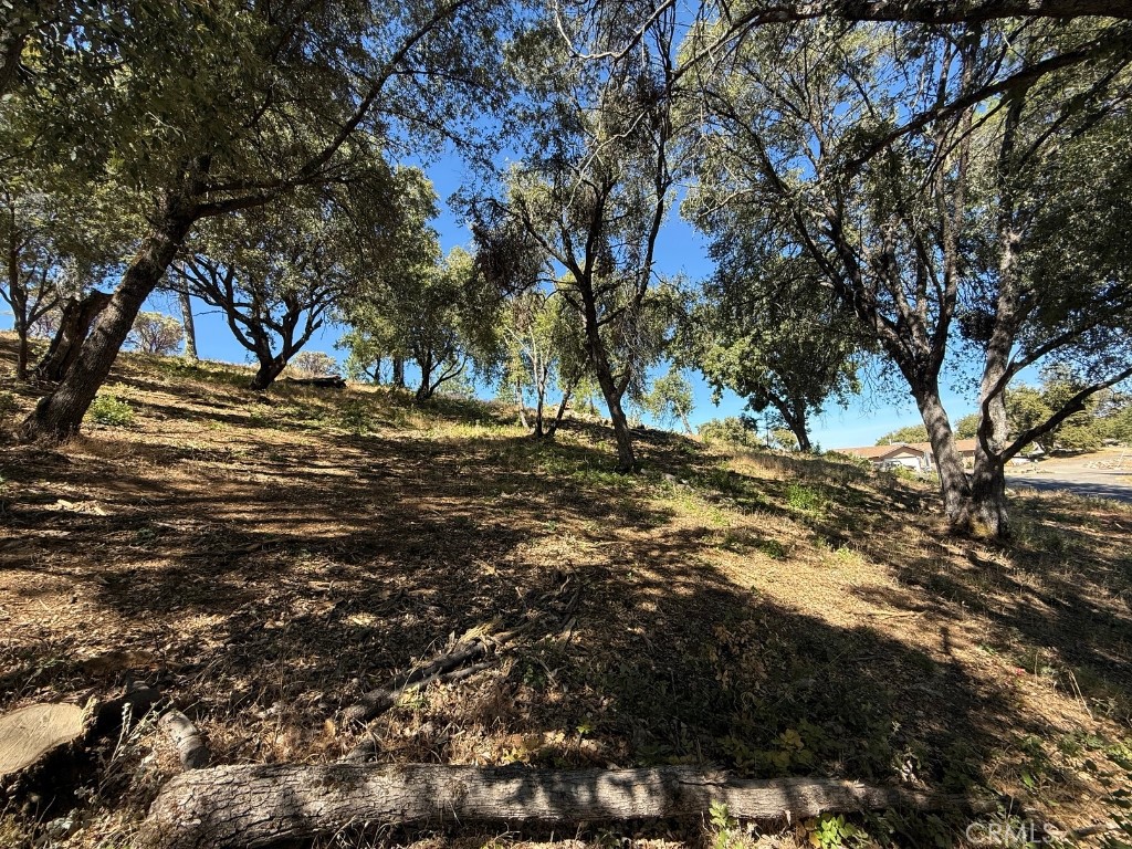 5710 Clouds Rest Mariposa, CA 95338 - Photo 3 of 8 a view of outdoor space with trees