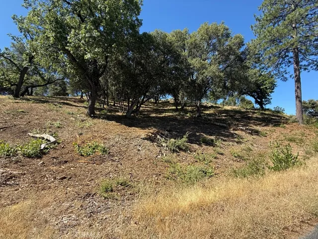 a view of a yard with trees