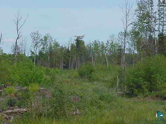 0 Park Road Ashland, WI 54806 - Photo 1 of 1