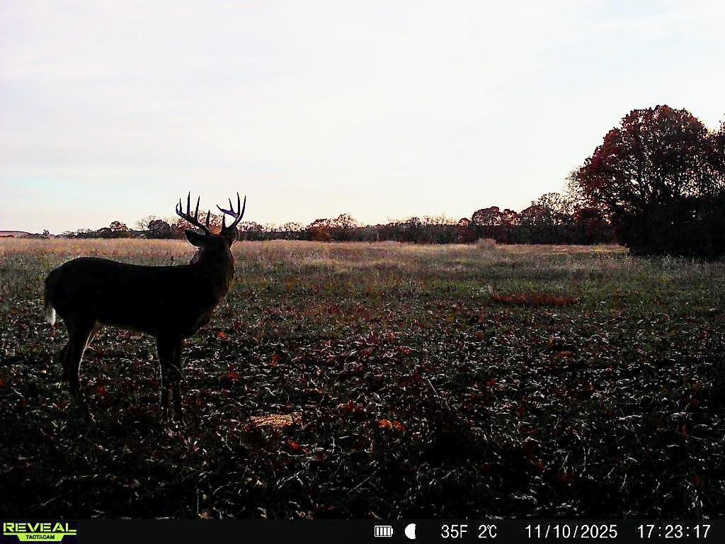 363-acres North 750 Road Overbrook, KS 66524 - Photo 48 of 58
