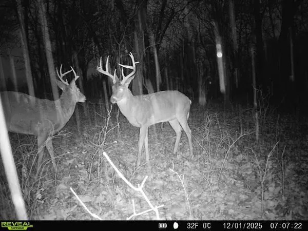 $2,690,000 | 363-acres North 750 Road, Overbrook, KS 66524