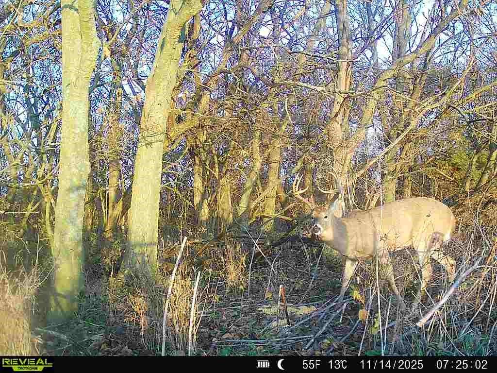 363-acres North 750 Road Overbrook, KS 66524 - Photo 50 of 58