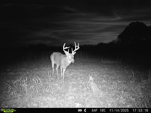 363-acres North 750 Road Overbrook, KS 66524 - Photo 51 of 58