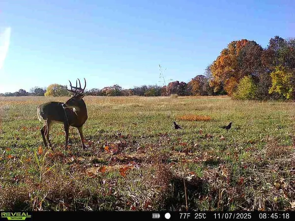 $2,690,000 | 363-acres North 750 Road, Overbrook, KS 66524