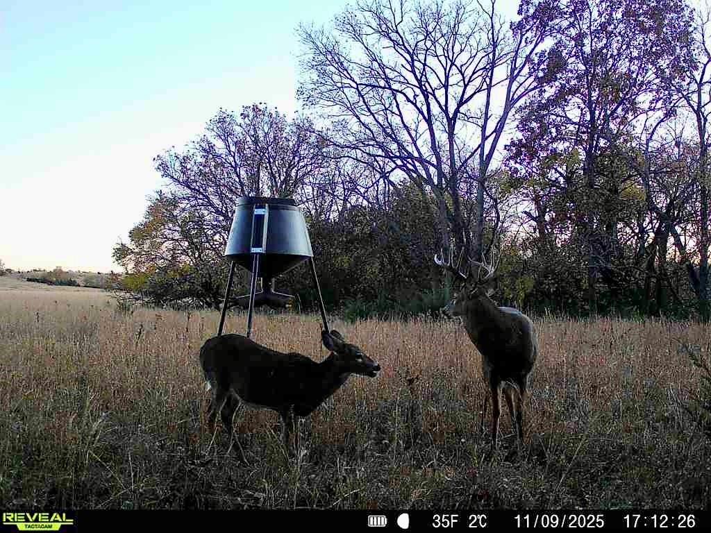 363-acres North 750 Road Overbrook, KS 66524 - Photo 53 of 58