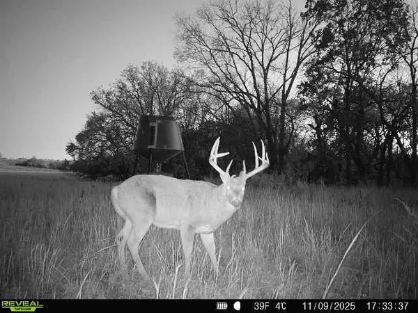 $2,690,000 | 363-acres North 750 Road, Overbrook, KS 66524