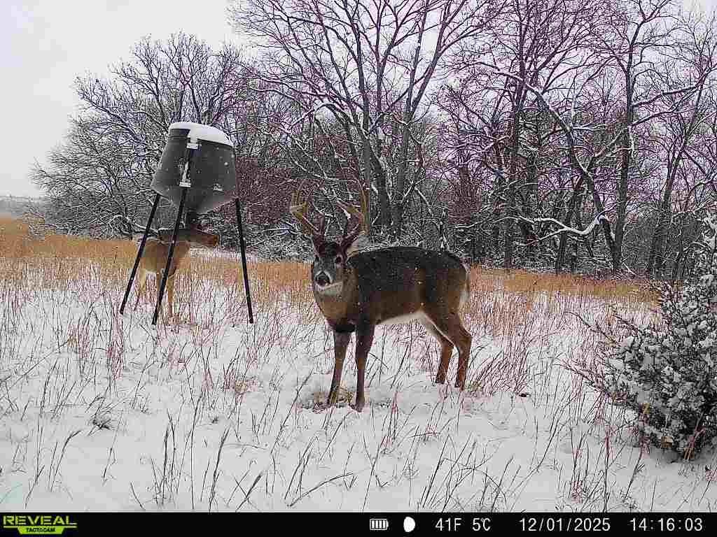 363-acres North 750 Road Overbrook, KS 66524 - Photo 56 of 58
