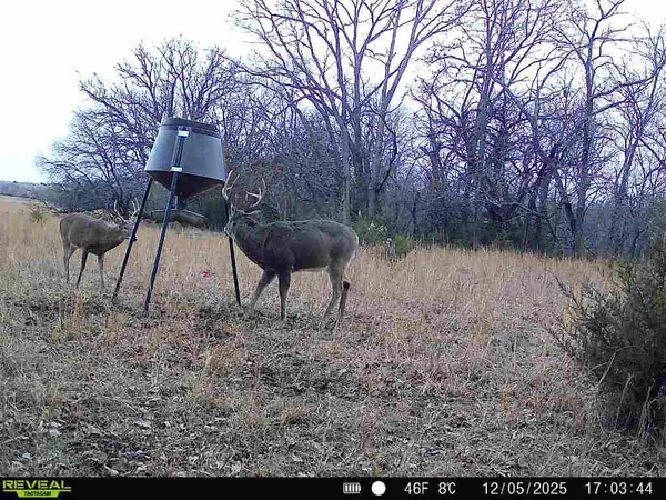 $2,690,000 | 363-acres North 750 Road, Overbrook, KS 66524