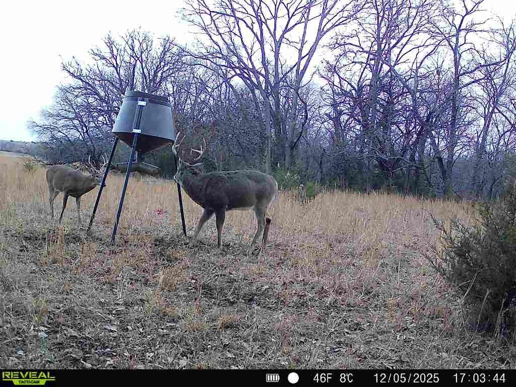 363-acres North 750 Road Overbrook, KS 66524 - Photo 57 of 58