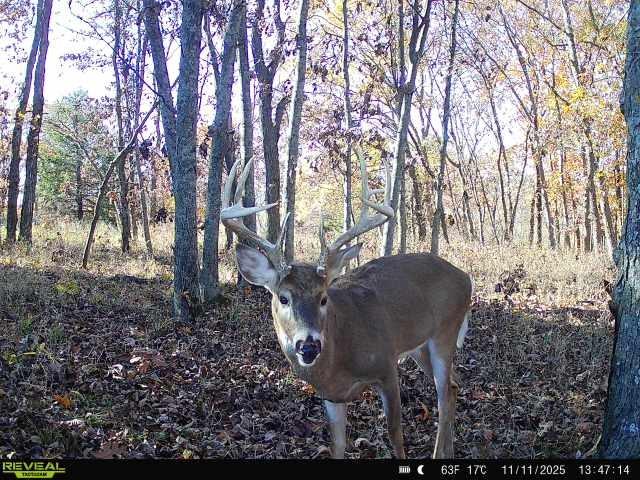 363-acres North 750 Road Overbrook, KS 66524 - Photo 58 of 58