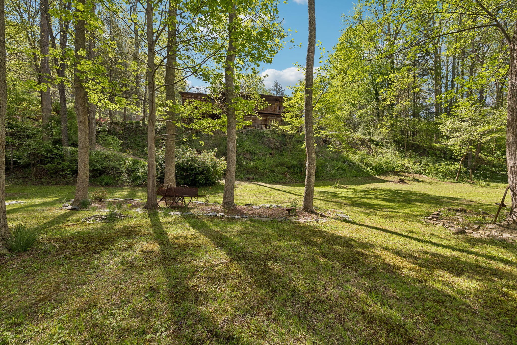 1532 Turkey Creek Road Tellico Plains, TN 37385 - Photo 54 of 65