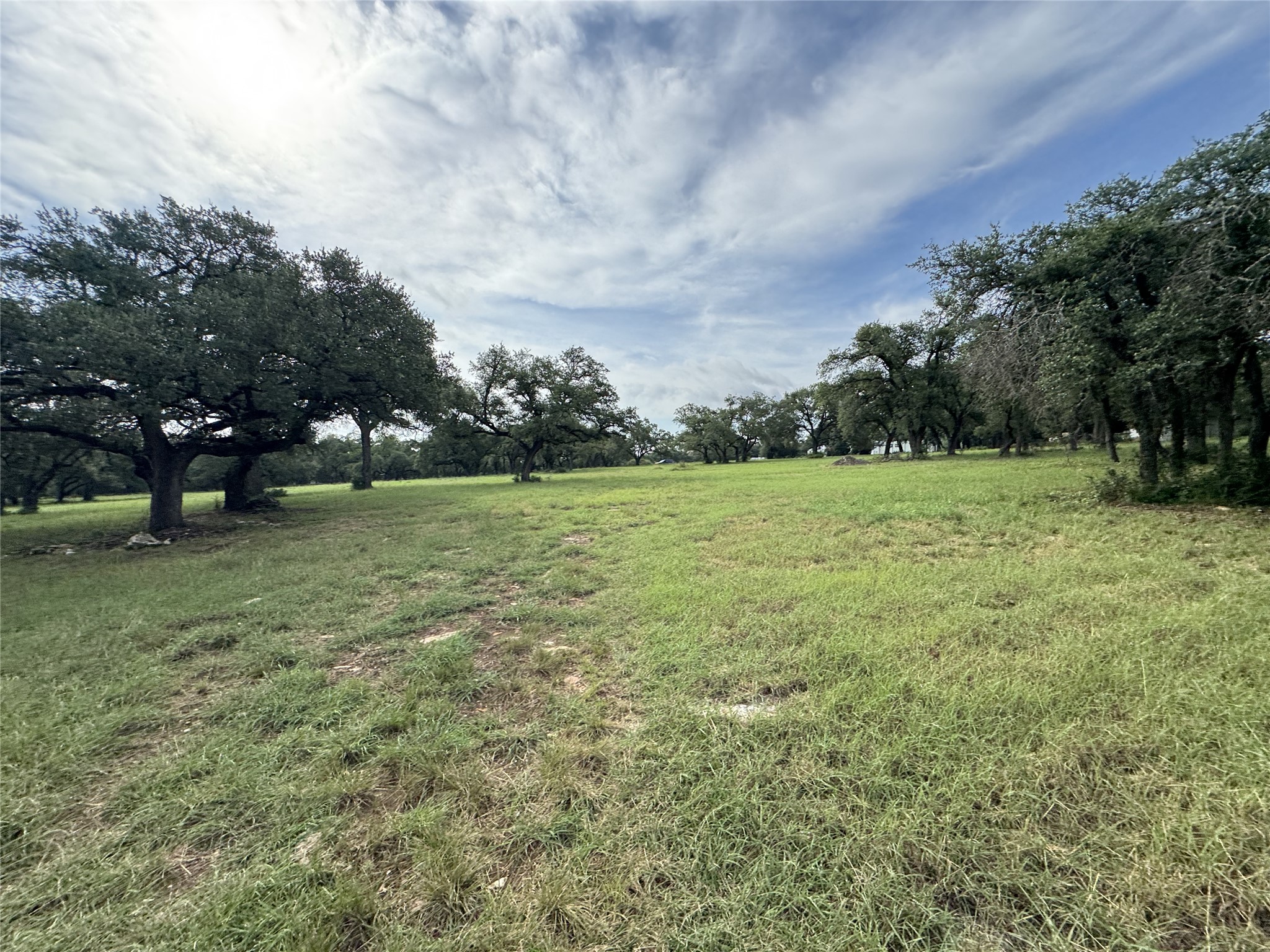 109 Estancia Way Georgetown, TX 78628 - Photo 11 of 22 a view of a field with trees