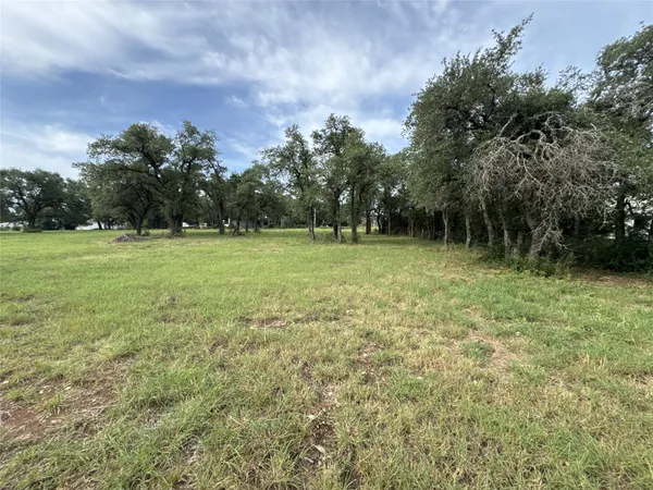 a view of outdoor space with trees all around