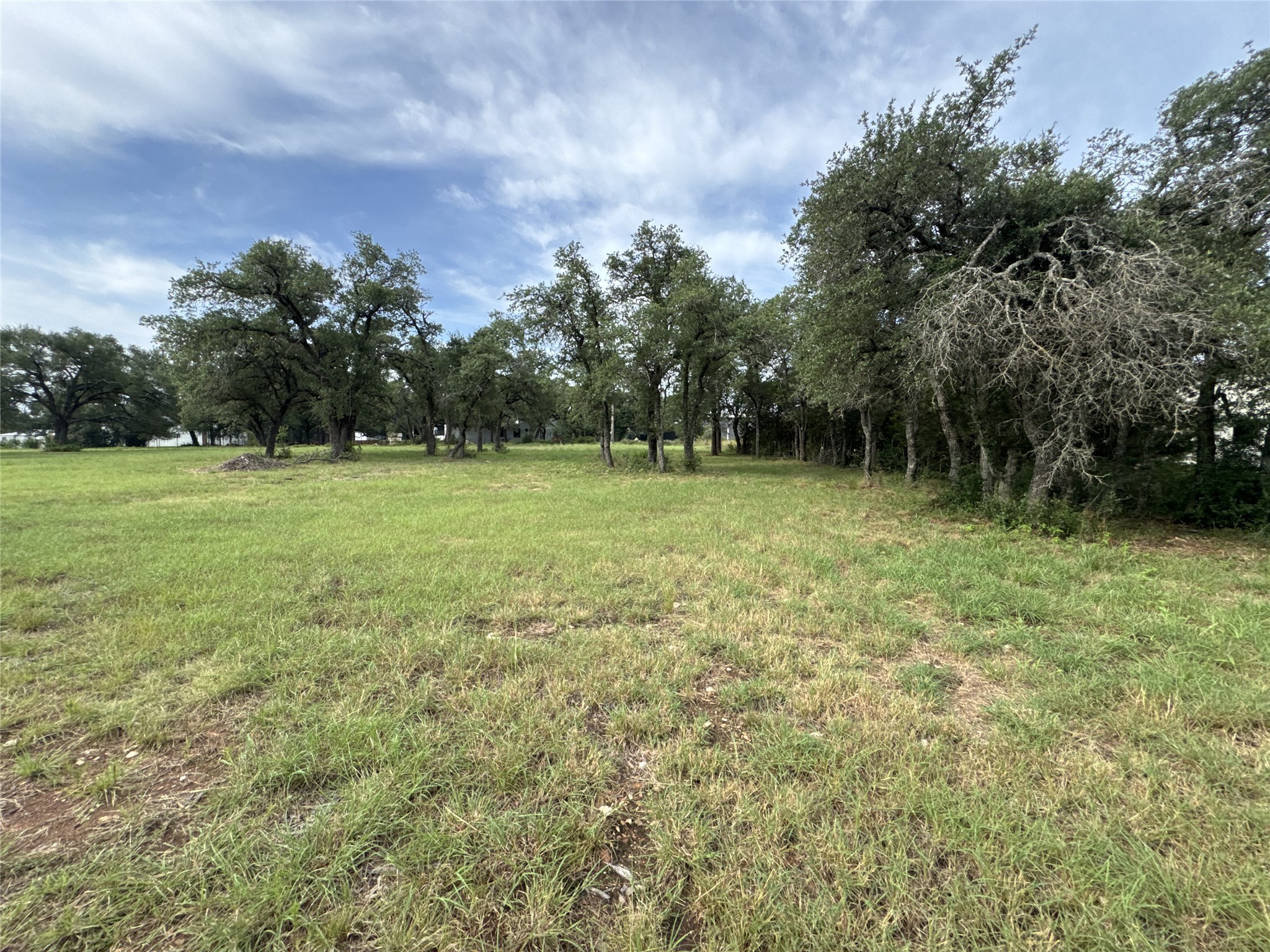 109 Estancia Way Georgetown, TX 78628 - Photo 13 of 22 a view of outdoor space with trees all around