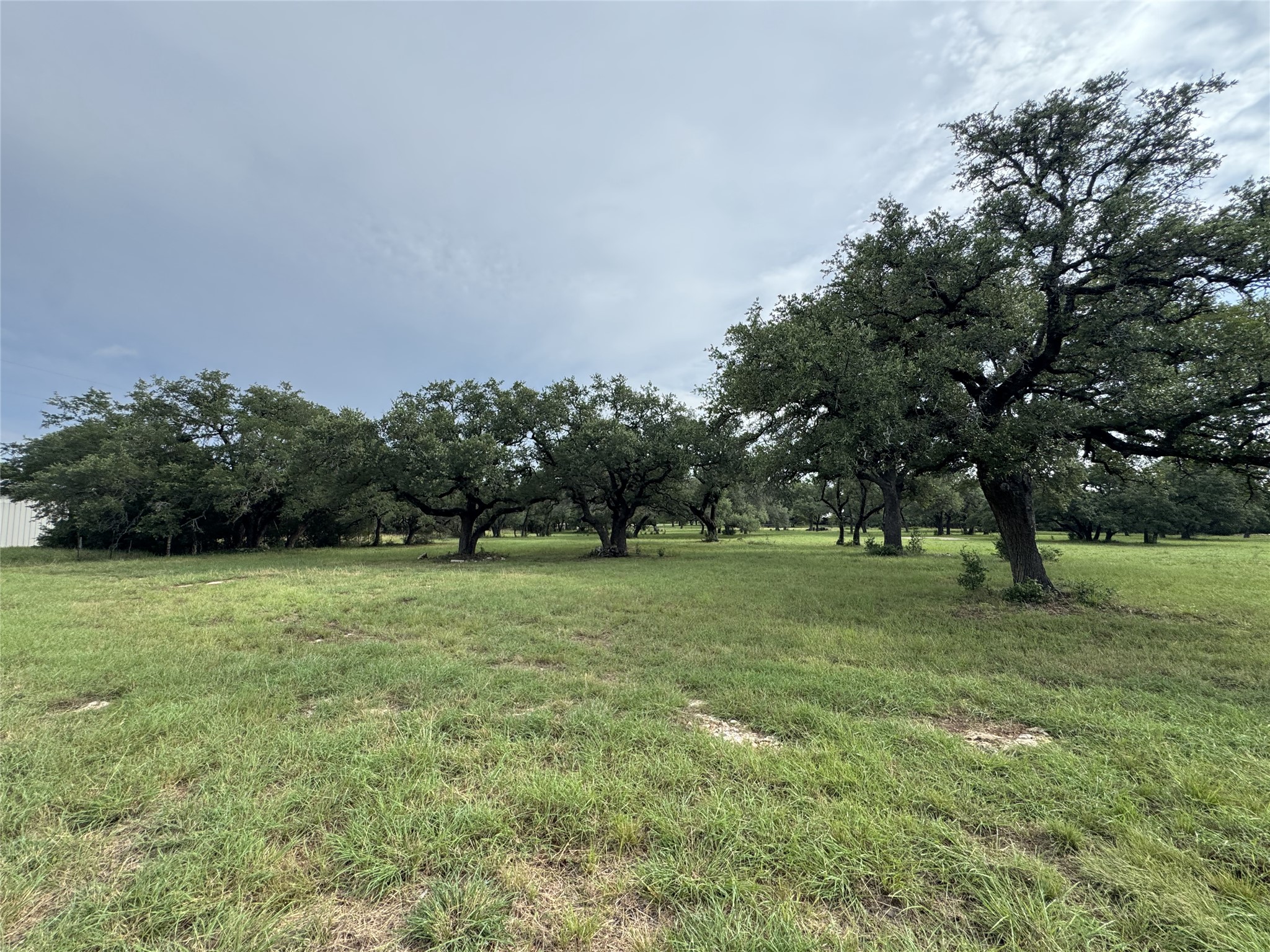 109 Estancia Way Georgetown, TX 78628 - Photo 14 of 22 a view of a field with trees in the background
