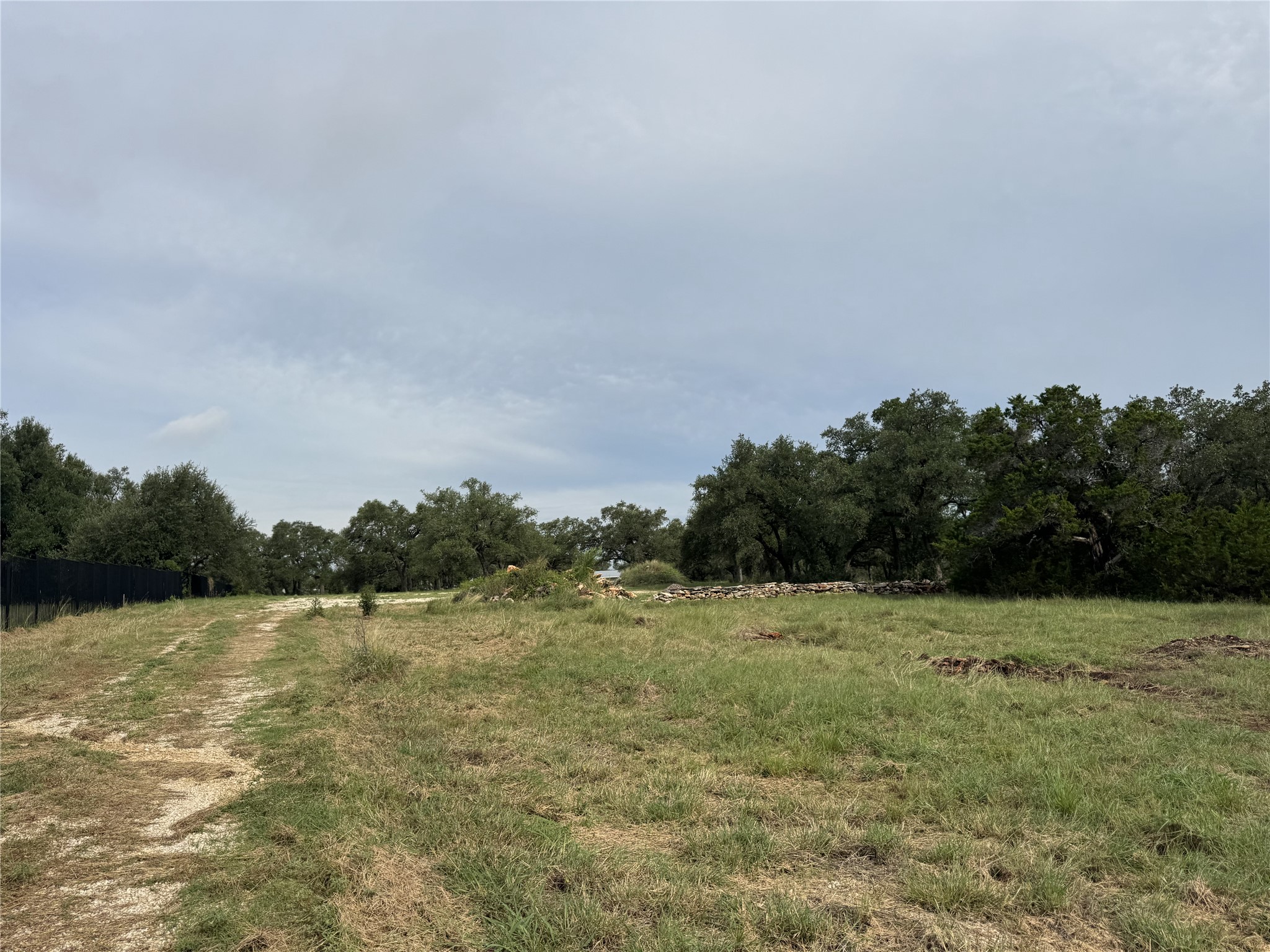 109 Estancia Way Georgetown, TX 78628 - Photo 16 of 22 a view of a field with trees in background