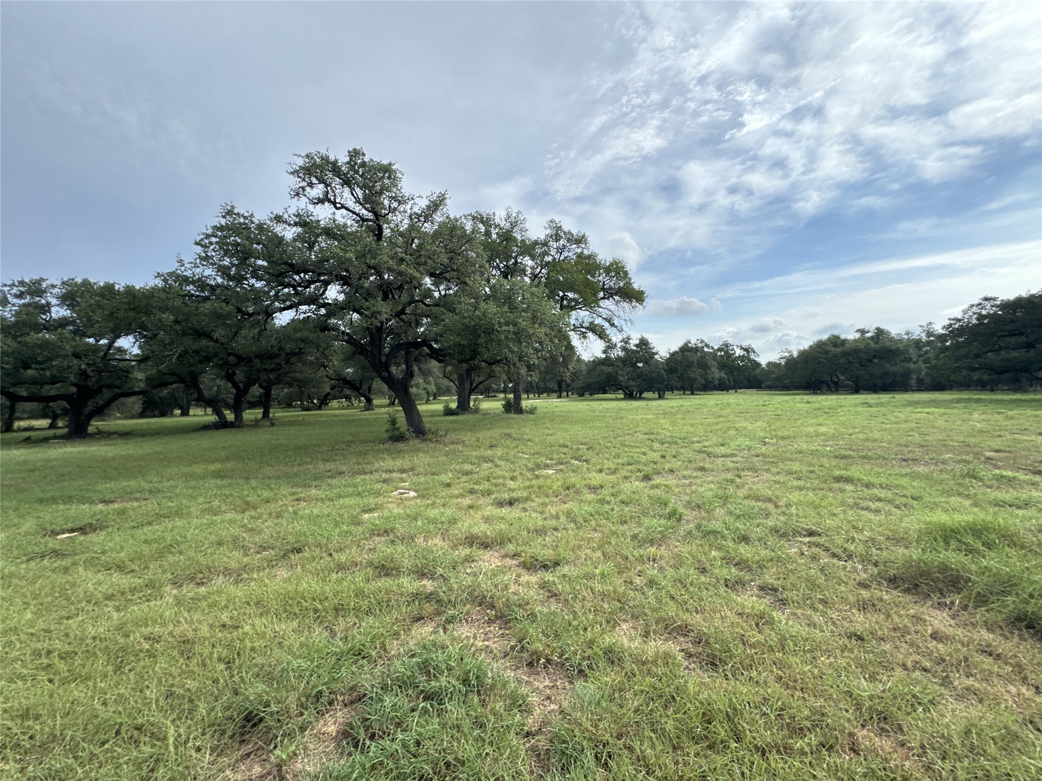 109 Estancia Way Georgetown, TX 78628 - Photo 17 of 22 a view of outdoor space with deck and yard