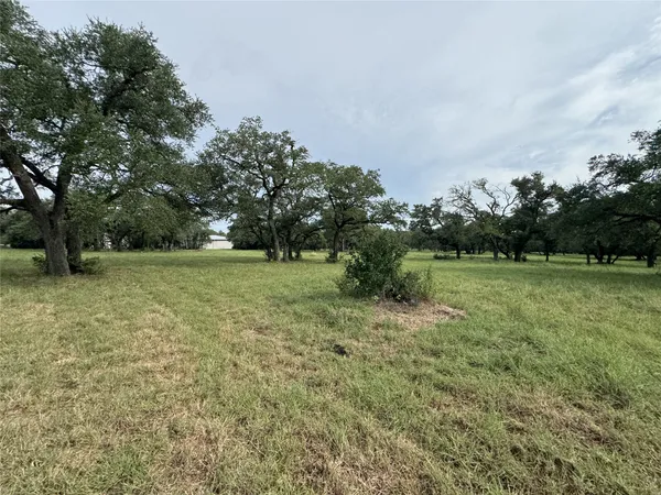 a view of outdoor space with green field and trees all around
